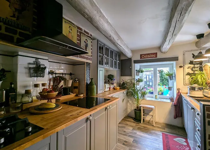 Rénovée Avec Table D'hôte Dans La Campagne Altiligérienne - Fr-1-582-522 * Saint-Victor-sur-Arlanc